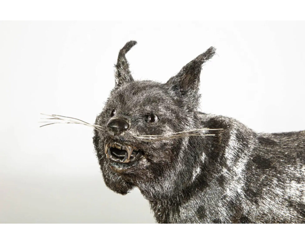 Gianmaria Buccellati, a Rare and Exceptional Italian Silver Bobcat - Image 3