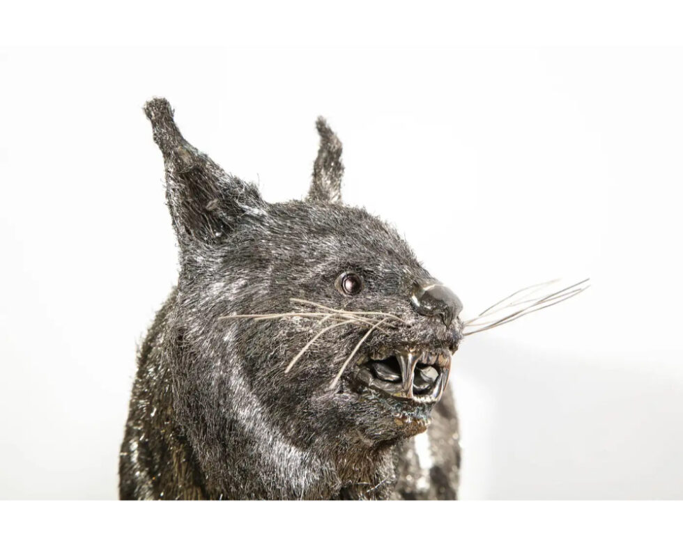 Gianmaria Buccellati, a Rare and Exceptional Italian Silver Bobcat - Image 14