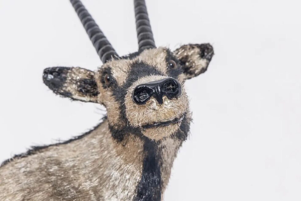 Desert Majesty: A Majestic Buccellati Sterling Silver Arabian Oryx - Image 4