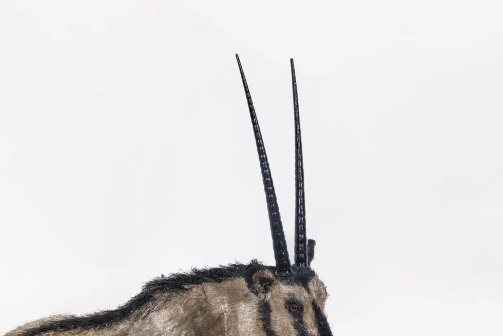 Desert Majesty: A Majestic Buccellati Sterling Silver Arabian Oryx - Image 10